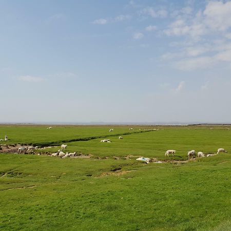 Kleines Haeuschen Am Deich, Vor Den Toren Von Sylt Villa Emmelsbüll-Horsbüll Eksteriør billede