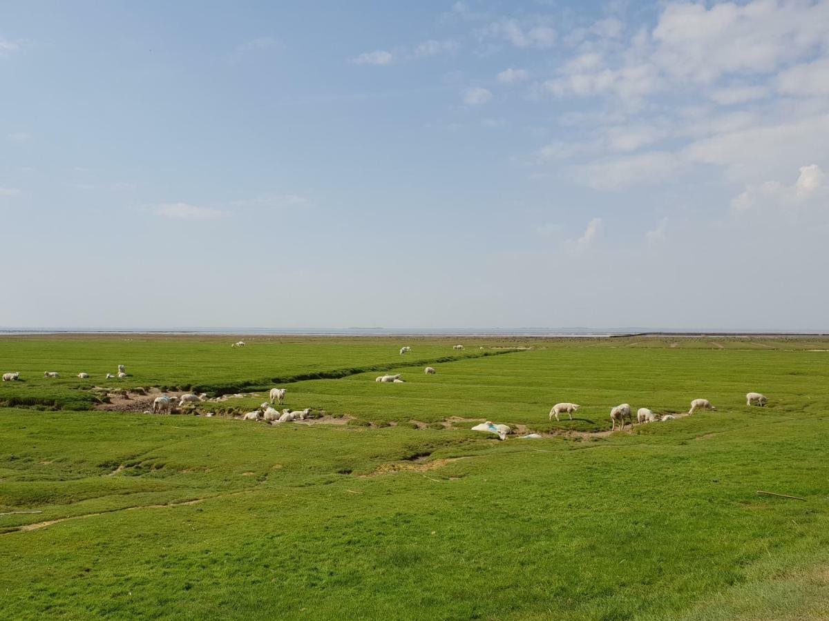 Kleines Haeuschen Am Deich, Vor Den Toren Von Sylt Villa Emmelsbüll-Horsbüll Eksteriør billede