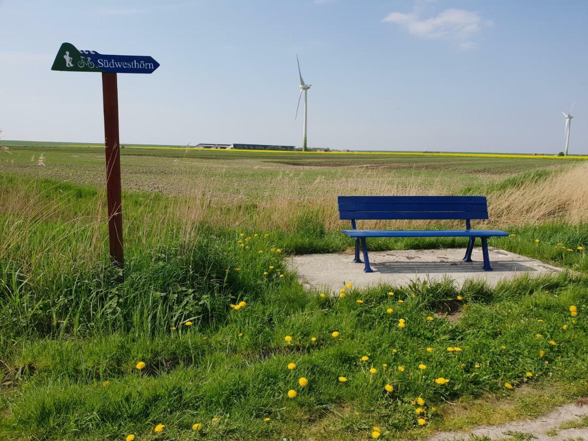 Kleines Haeuschen Am Deich, Vor Den Toren Von Sylt Villa Emmelsbüll-Horsbüll Eksteriør billede