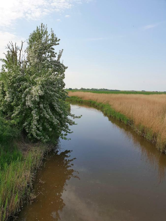 Kleines Haeuschen Am Deich, Vor Den Toren Von Sylt Villa Emmelsbüll-Horsbüll Eksteriør billede